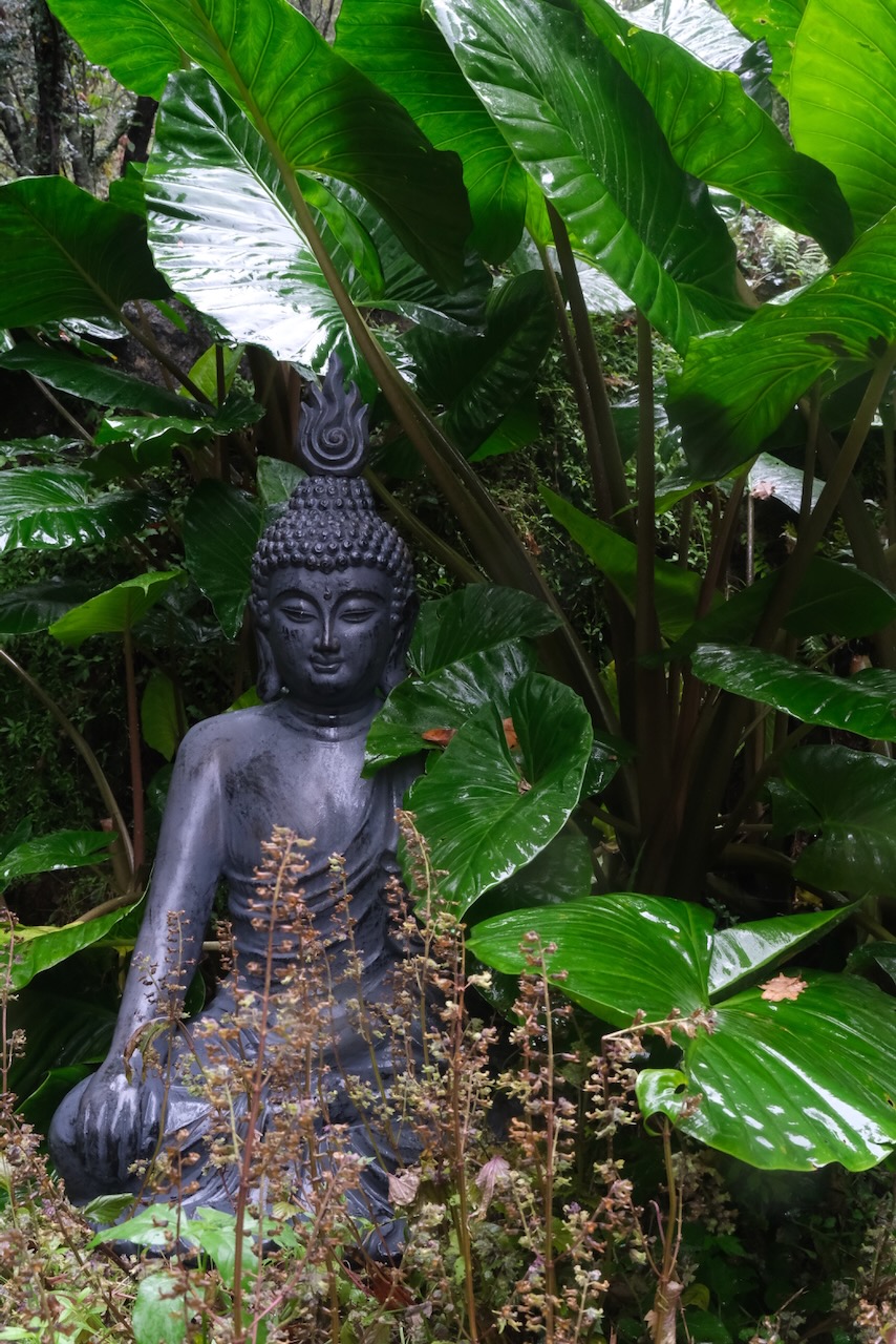 Buddha statue in garden