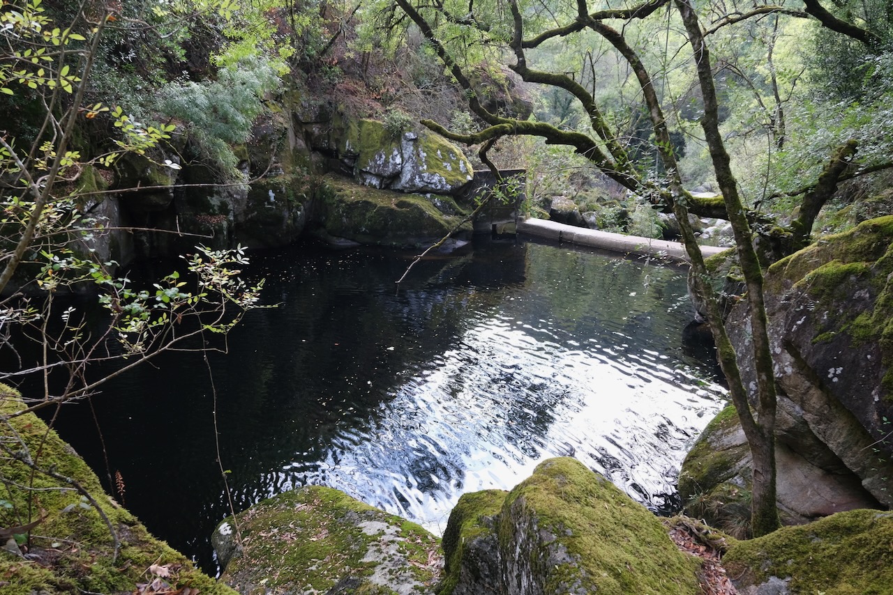 Forest pool with boulders