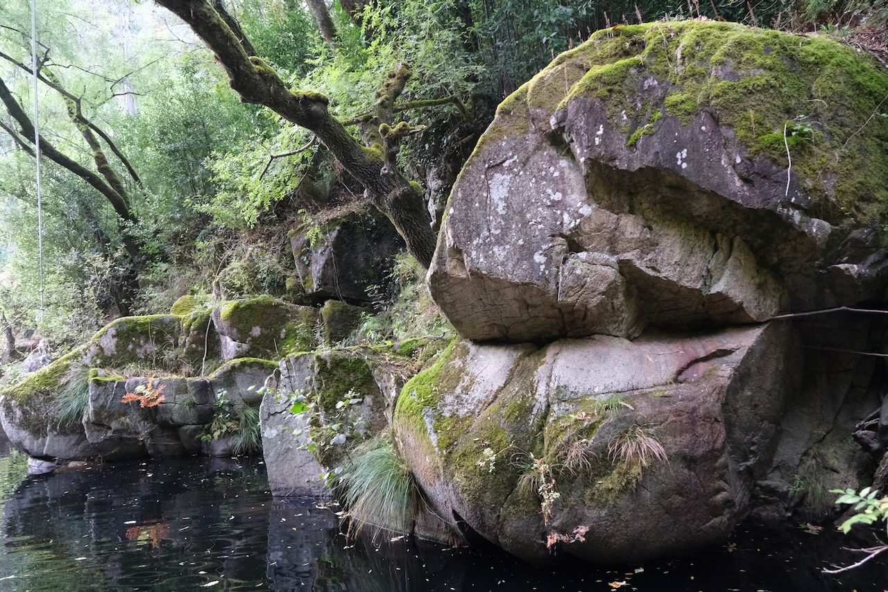 Moss covered boulders